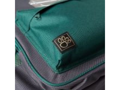 Детский рюкзак Jaguar Kids Backpack, Grey/Green, артикул JDBC831GYA от JAGUAR Детский рюкзак Jaguar Kids Backpack, Grey/Green, артикул JDBC831GYA