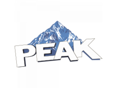 Ремкомплект цилиндра для подъемников PEAK 409/409A/409-P/409HP